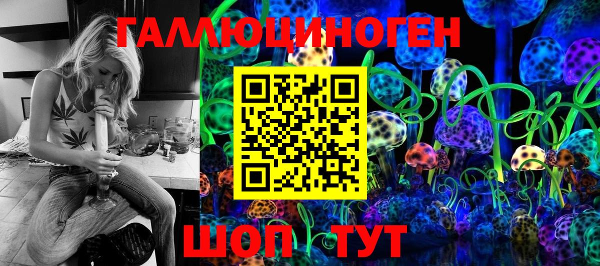 Псилоцибиновые грибы Psilocybe Гудермес