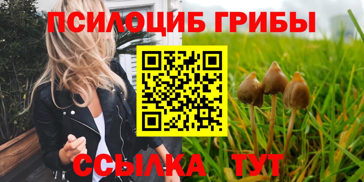Псилоцибиновые грибы Psilocybine cubensis  Вход с VPN  Гудермес 
